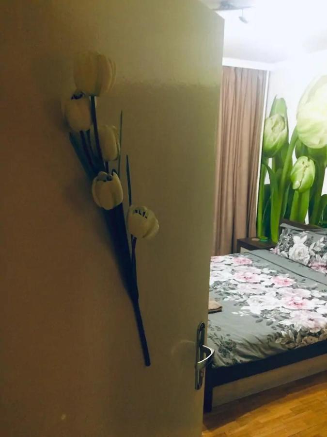 2 Bedrooms With Private Bath And Balcony Near The Airport 索菲亞 外观 照片